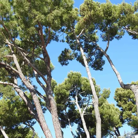 Bed & Breakfast Ulisse - - Luxury